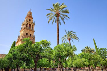 Relaxing Córdoba monuments tour